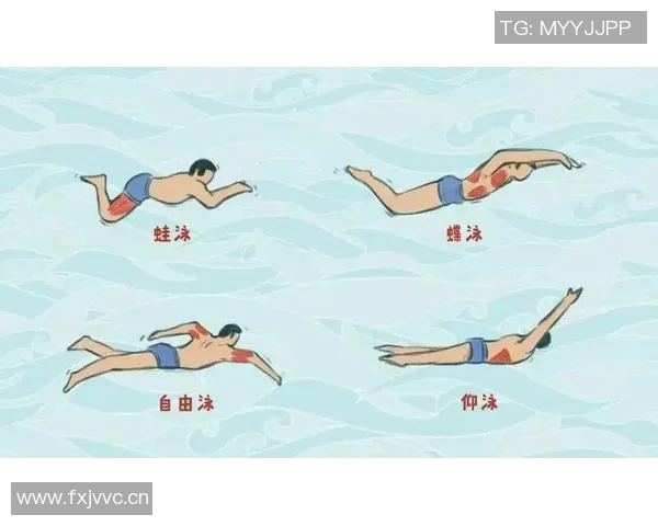不同泳姿的技巧与特点全面解析 帮助提升游泳表现